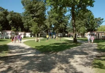 Mietunterkunft - Huurcaravan - Camping De Heldense Bossen