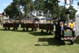Foto #13 van Camping De Heldense Bossen