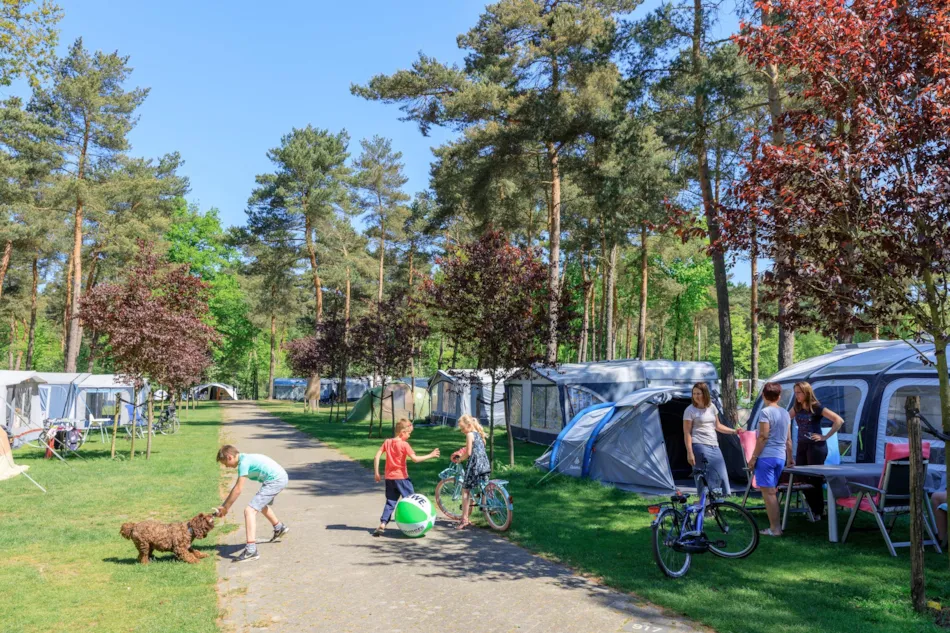 Camping De Heldense Bossen
