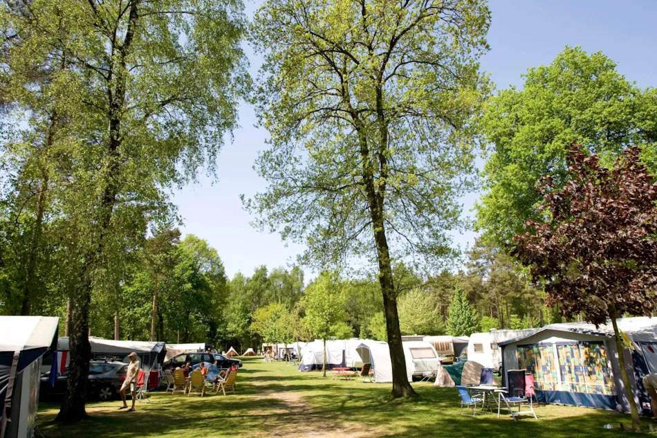 Camping De Heldense Bossen