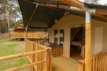 Mietunterkunft - 4/5 Persoons Safaritent - Camping De Heldense Bossen