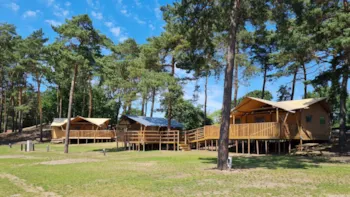 Mietunterkunft - 6 Persoons Safaritent - Camping De Heldense Bossen