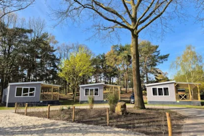 Chalet Nel Bosco