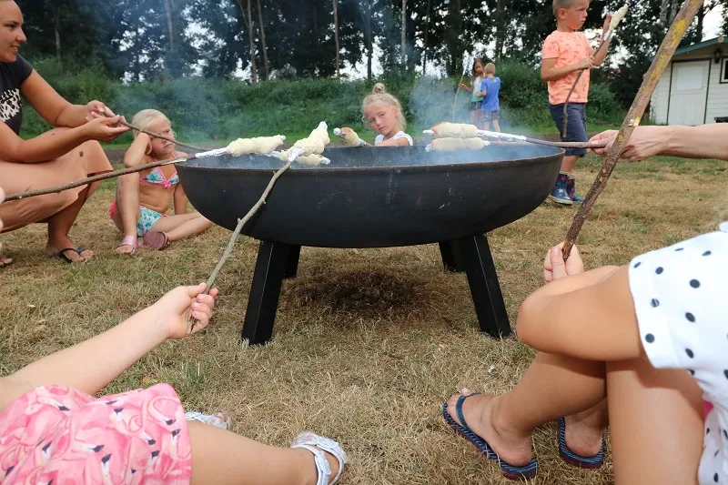 Camping De Pallegarste