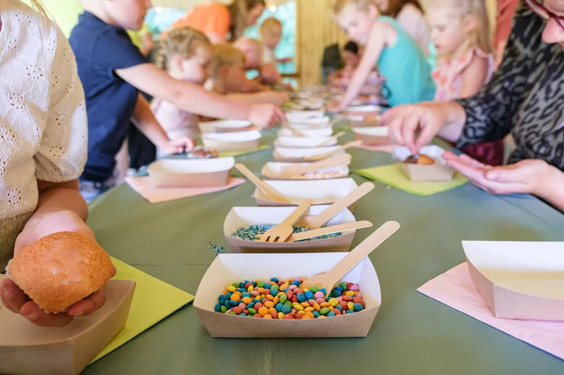 Camping De Pallegarste