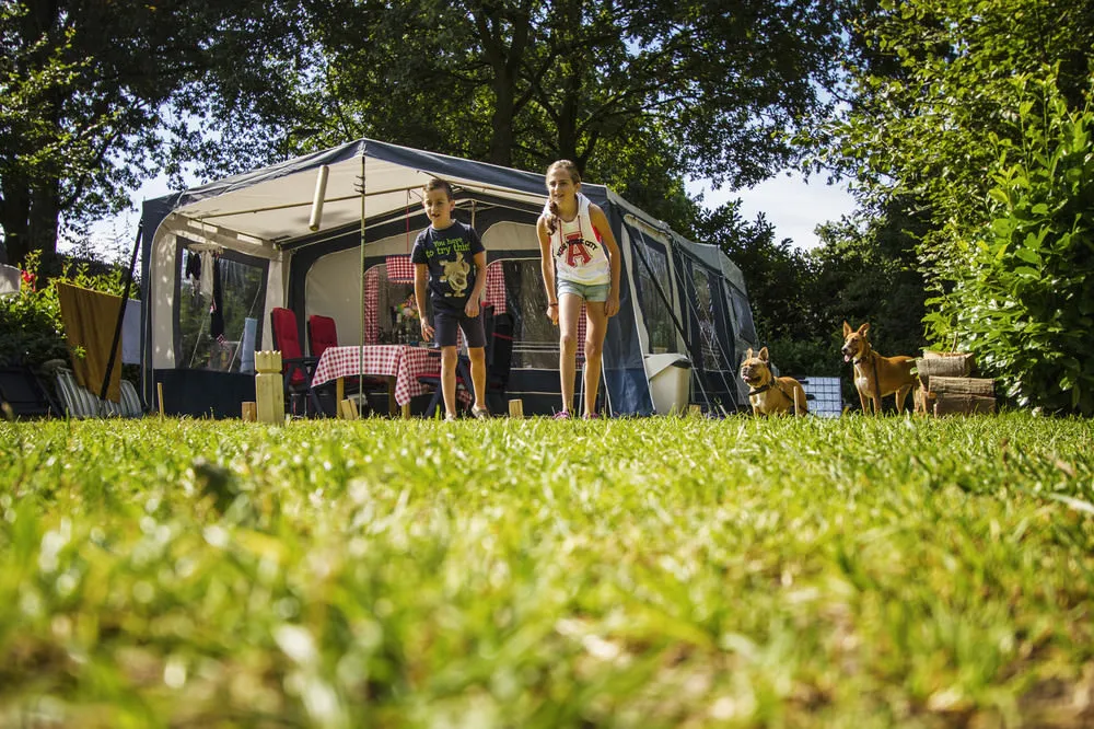 Stellplatz - Stellplatz - Camping 't Buuteland