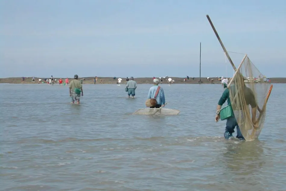 Chadotel Les Ecureuils