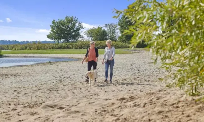 Siblu - Camping Meerwijck - image n°4 - Camping Direct