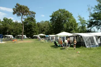 Stellplatz - Stellplatz Auto, Zelt/Wohnwagen, Wasser, Strom Und Fernsehen Anschluss - Recreatiepark Beringerzand