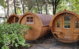 Accommodation - Big Barrel Hut - Recreatiepark Beringerzand