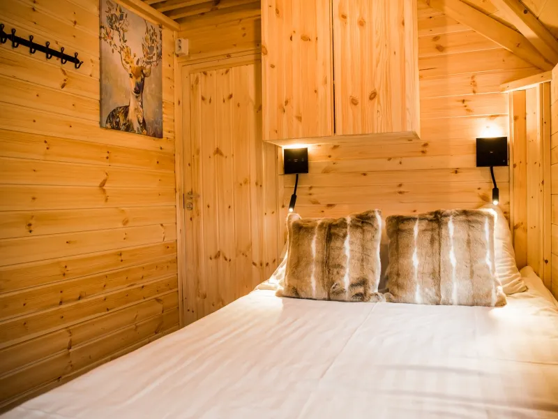 Kota Finlandais Avec Animal Domestique