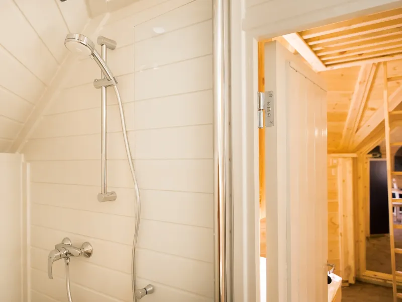 Kota Finlandais Avec Animal Domestique