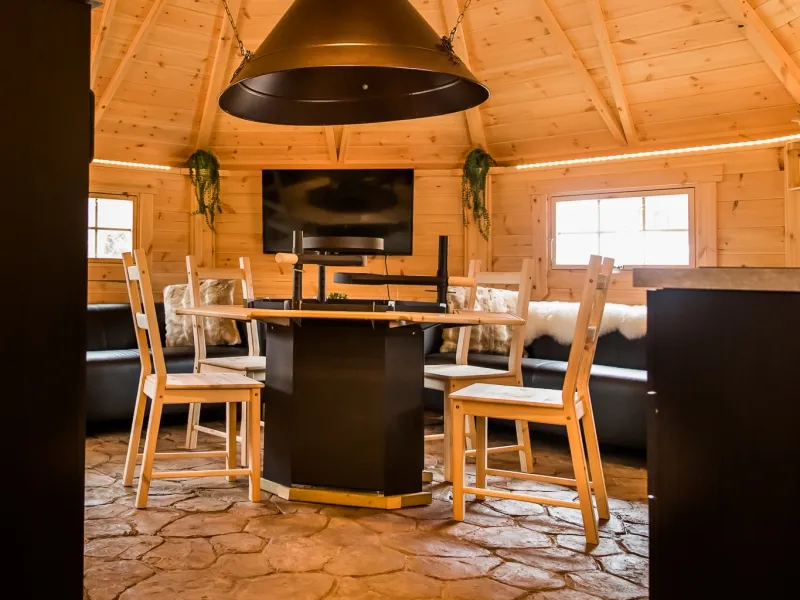 Kota Finlandais Avec Animal Domestique