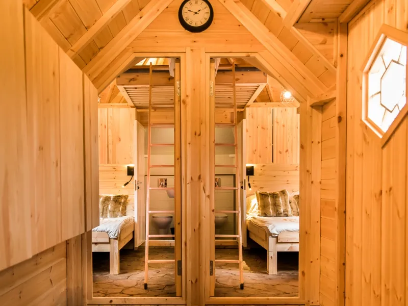 Kota Finlandais Avec Animal Domestique