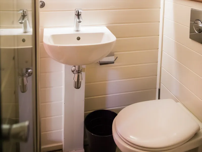 Kota Finlandais Avec Animal Domestique