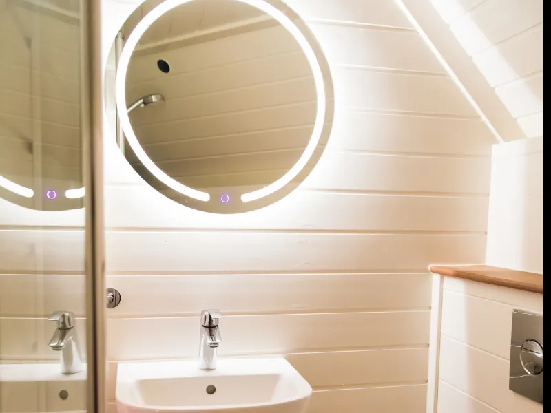 Kota Finlandais Avec Animal Domestique