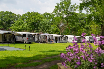 Pitch car, tent/caravan, connection to water, electricity and TV