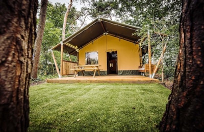 Bobbies Lodge Premium