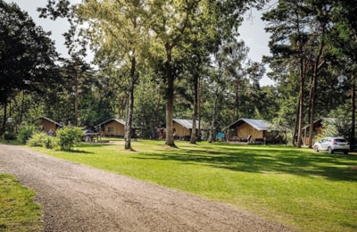 Bobbies Lodge Premium