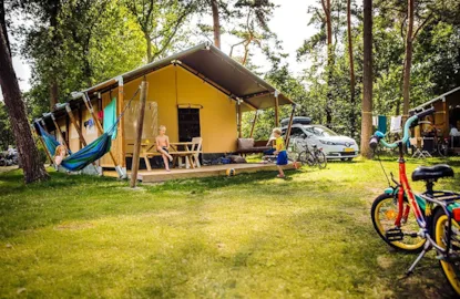 Bobbies Lodge Premium