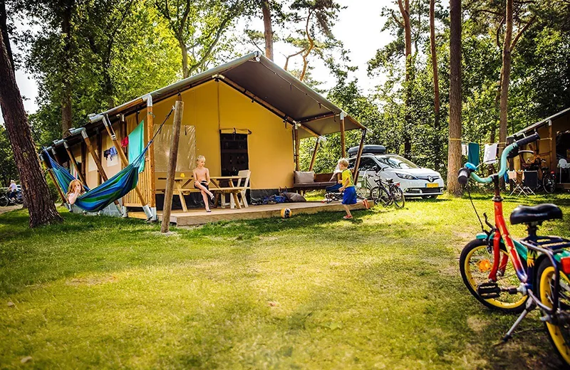 Bobbies Lodge Premium