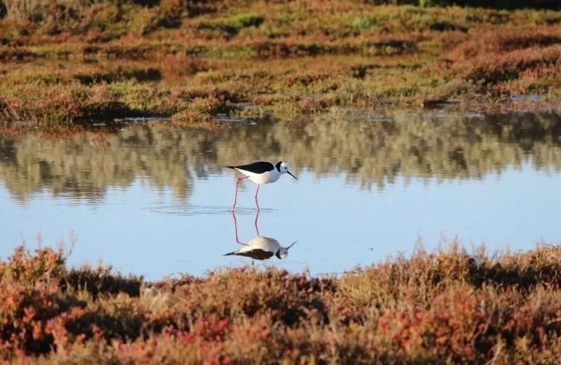 Recreatiepark Beringerzand