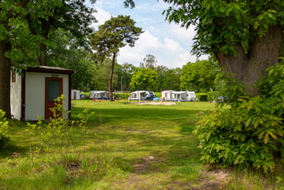 Comfort pitch with comfort private bathroom