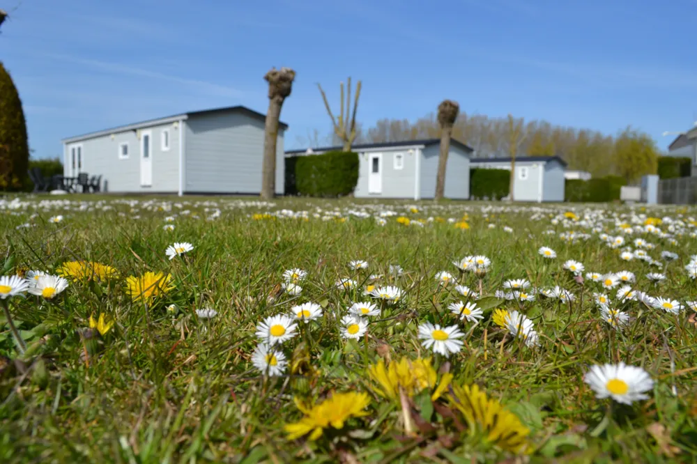 Accommodation - Chalet - Camping Bonte Hoeve