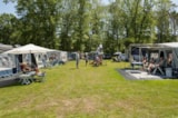 Foto #7 van Camping Goorzicht