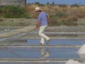 Slow Village | Pornic