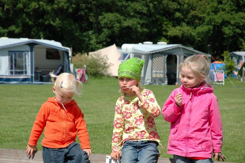 Sind Hunde auf Vakantieoord De Bronzen Emmer erlaubt? photo 5