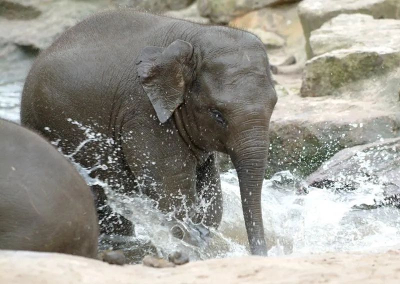 Vakantieoord De Bronzen Emmer - image n°28 - UniversalBooking