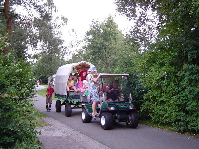 Vakantieoord De Bronzen Emmer