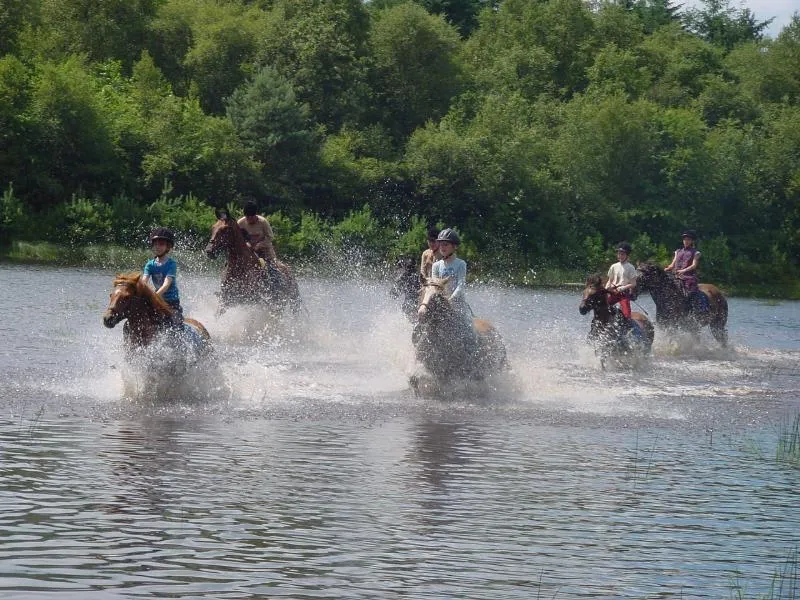 Vakantieoord De Bronzen Emmer