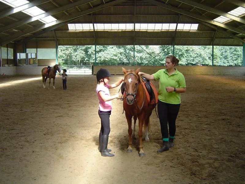 Vakantieoord De Bronzen Emmer