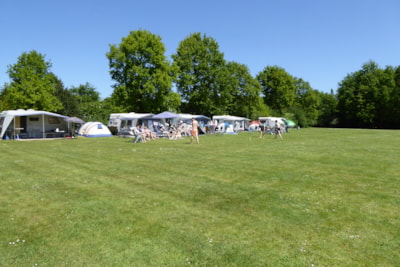 Pitch tent - 100/140m²- Strom 4A - electricity 4A - car not allowed