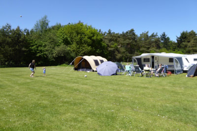 Comfort pitch - 100 / 140m² - electricity 10A - water and drainage