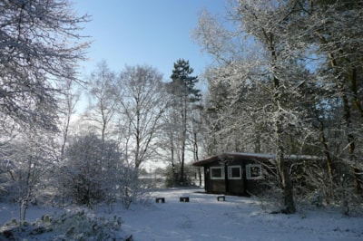 Finnish Bungalow - 3 Bedrooms (no pets allowed - no smoking)