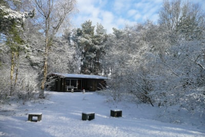 6-person Finnish bungalow - 3 bedrooms (non-smoking)