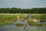 Foto #30 van Vakantieoord De Bronzen Emmer