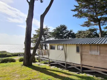 Mietunterkunft - Lodge Meersicht 32M² - Camping Eleovic