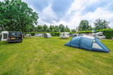 Foto #7 van Camping Hitjesvijver