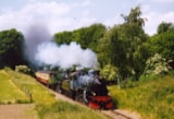 Foto #35 van Camping Hitjesvijver