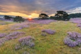 Foto #47 van Camping Hitjesvijver