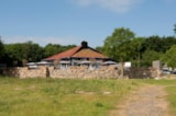 Foto #51 van Camping Hitjesvijver