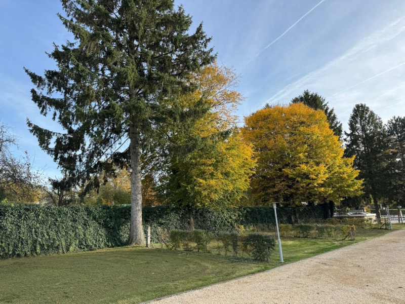 Forfait Confort + électricité + eau