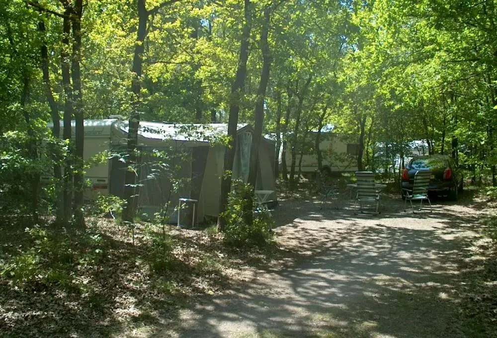 Boskampeerplaats, 1 tent, caravan of camper, auto, elektriciteit 6A