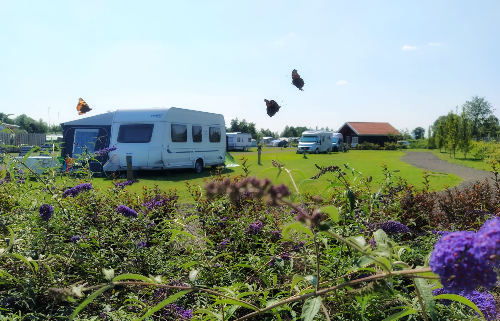 Emplacement : tente/caravane ou camping-car