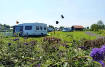 Stellplatz - Stellplatz : Zelt/Wohnwagen Oder Wohnmobil - Natuurlijk de Veenhoop