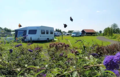 Emplacement : Tente/Caravane Ou Camping-Car